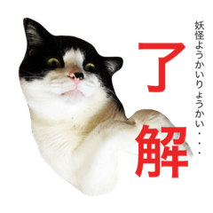 [LINEスタンプ] ねこやしき②feat.めめ