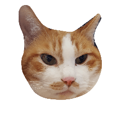 [LINEスタンプ] にゃんころ  みはる