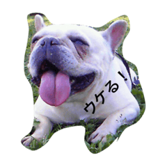 [LINEスタンプ] 使って下さい。