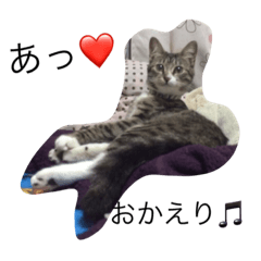 [LINEスタンプ] 日々のにこ