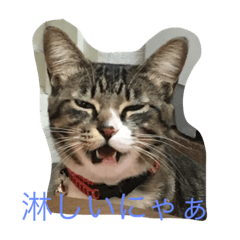 [LINEスタンプ] にこやん