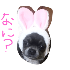 [LINEスタンプ] 甘えんぼララちゃん