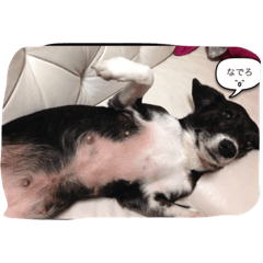 [LINEスタンプ] ルナとステラ