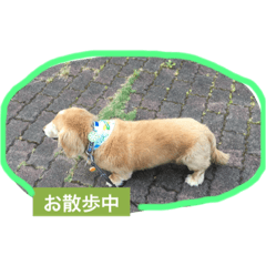[LINEスタンプ] ひとことスタンプ☆★