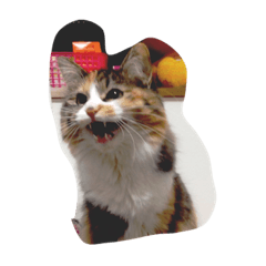 [LINEスタンプ] 色々なきなこ