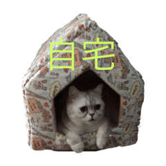 [LINEスタンプ] あさり3