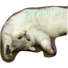 [LINEスタンプ] あさり1