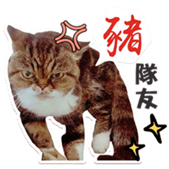 [LINEスタンプ] Nini＆A-bow