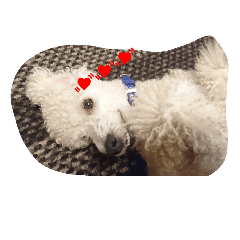 [LINEスタンプ] オレはプー3