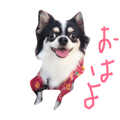 [LINEスタンプ] てっくんの日常。