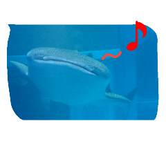 [LINEスタンプ] 海マニア