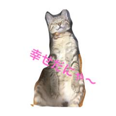 [LINEスタンプ] ちゅら猫スタンプ