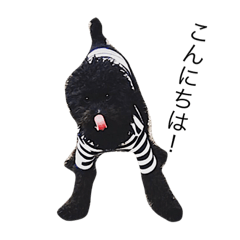[LINEスタンプ] 黒トイプードルのRick