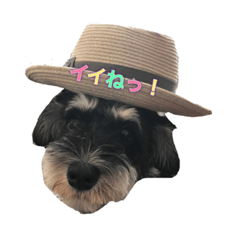 [LINEスタンプ] おスミの日常