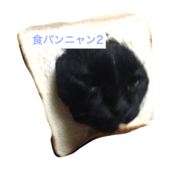 [LINEスタンプ] ももたの日常2