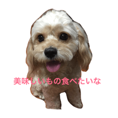 [LINEスタンプ] ロンのスタンプ