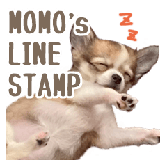 [LINEスタンプ] もりかわさんちのわんこスタンプ
