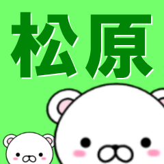 [LINEスタンプ] 超★松原(まつはら・まつばら)なクマの画像（メイン）