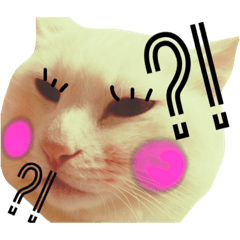 [LINEスタンプ] うちのシャーくん (2)
