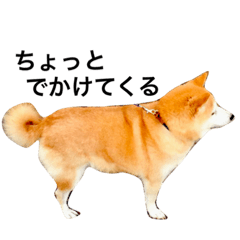 [LINEスタンプ] ミミのすたんぷ