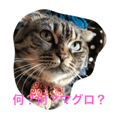 [LINEスタンプ] グミvsハム