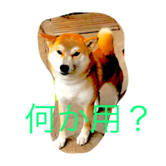 [LINEスタンプ] 美術