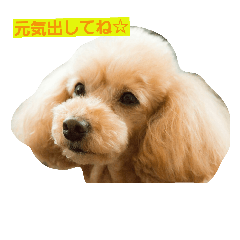 [LINEスタンプ] アムとロキ