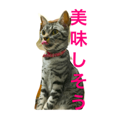 [LINEスタンプ] あいさつ小梅