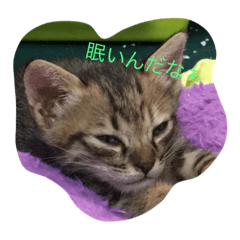 [LINEスタンプ] なんくる
