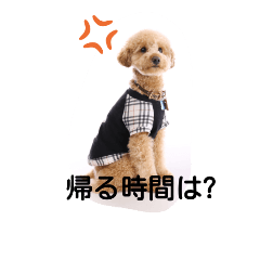 [LINEスタンプ] だめな息子用