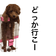 [LINEスタンプ] 愛犬ペコちゃん2の画像（メイン）
