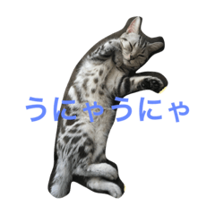 [LINEスタンプ] チャビ