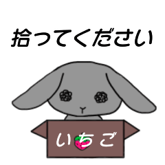 [LINEスタンプ] 捨てられうさぎ