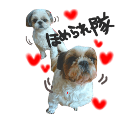 [LINEスタンプ] PUFFYとララ美