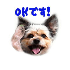 [LINEスタンプ] かわいい犬のスタンプよく使うディーパ