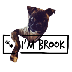[LINEスタンプ] I'm Brook ！の画像（メイン）