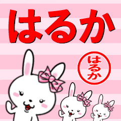 [LINEスタンプ] 超★はるか(ハルカ)なウサギの画像（メイン）