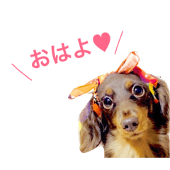 [LINEスタンプ] ラブさんの日常2