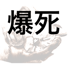 [LINEスタンプ] リオまるのクソスタンプ