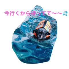 [LINEスタンプ] 可愛すぎるワン