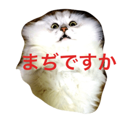 [LINEスタンプ] 愉快なケモノーズ