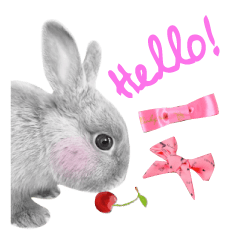 [LINEスタンプ] ウサギのマロ会長