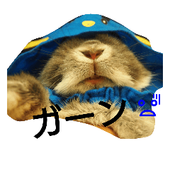 [LINEスタンプ] うさうさーず