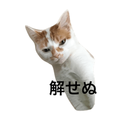 [LINEスタンプ] あぐーとむぎ