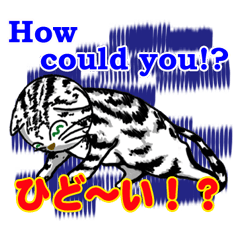 [LINEスタンプ] 猫で英会話 よく使う英語編vol4