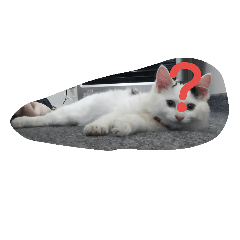 [LINEスタンプ] 犬猫日常系スタンプ