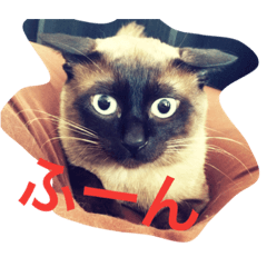 [LINEスタンプ] ぽんちゃんと