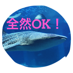 [LINEスタンプ] 魚類