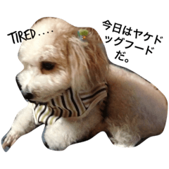 [LINEスタンプ] トイプーのムク次郎