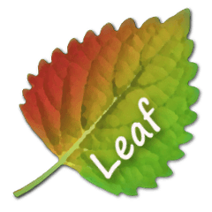 Leaf of the season